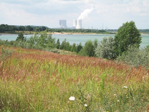 Rauchgasentschwefelungsanlagen (REA)