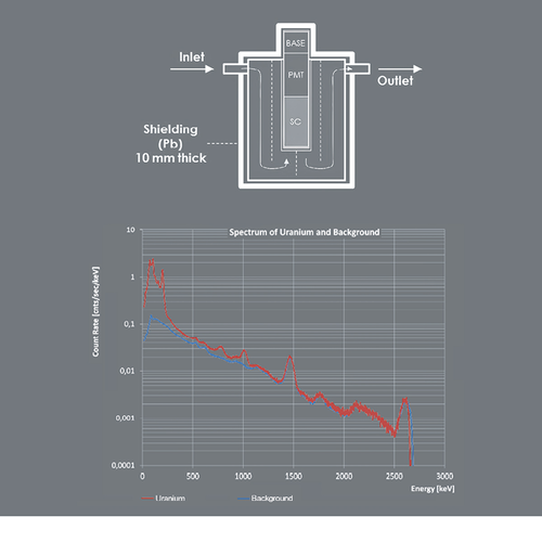 Schema der Radionuklidmessung